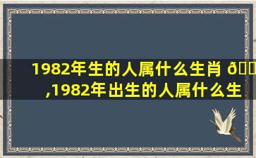 1982年生的人属什么生肖 🕸 ,1982年出生的人属什么生肖